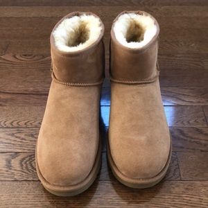 Classic Mini Ugg II Chesnut Suede